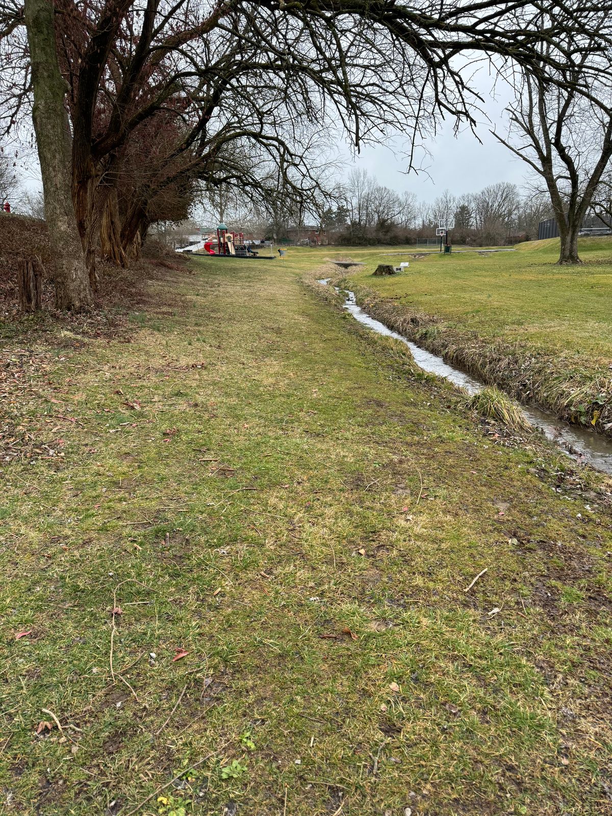 Hole 2 full approach view.