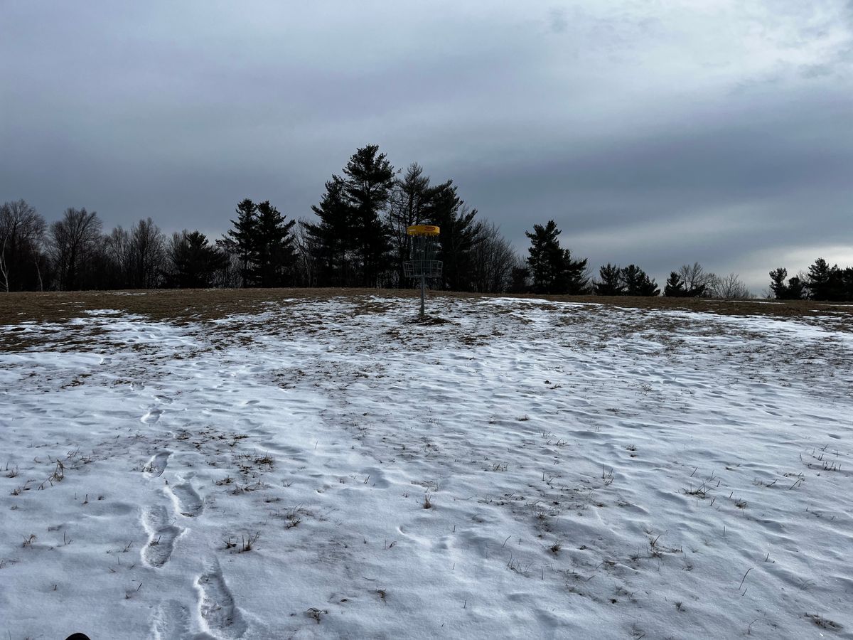 Hole 7 basket
