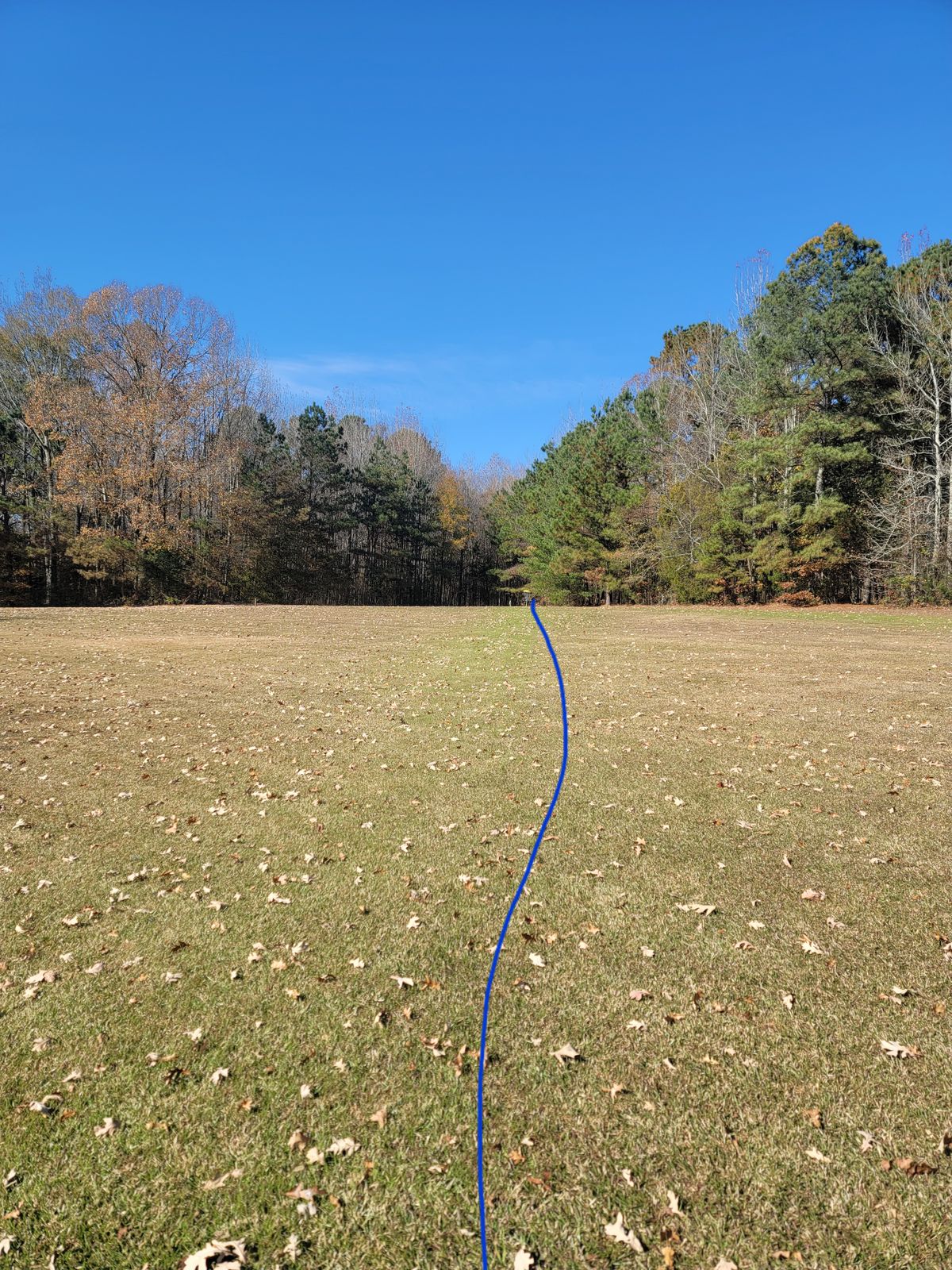 Hole 16
Short 248