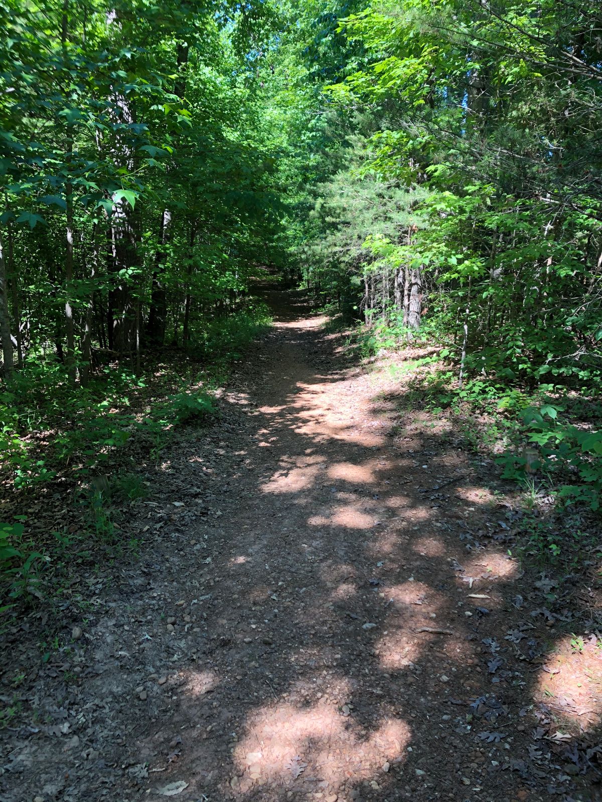 Second tee, unmarked