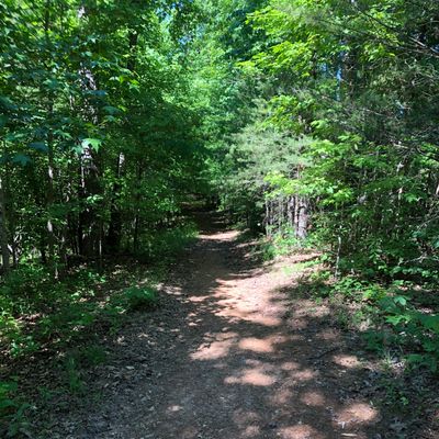 Second tee, unmarked