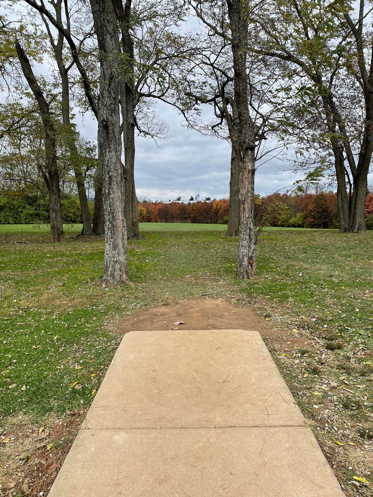 4th hole teepad. Tight gap and OB left after. Fun hole.