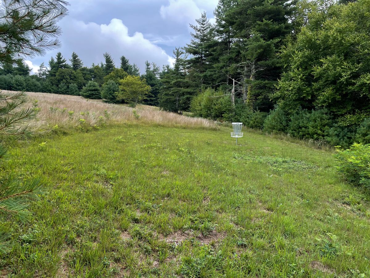 Hole 12 green.