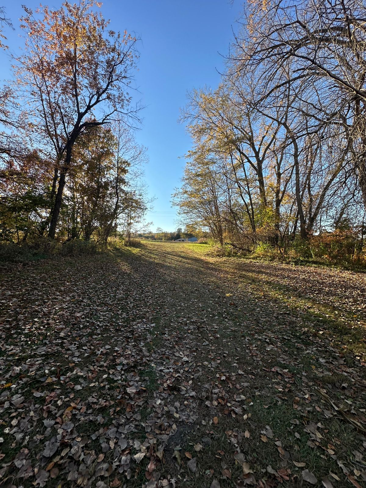 8 fairway
