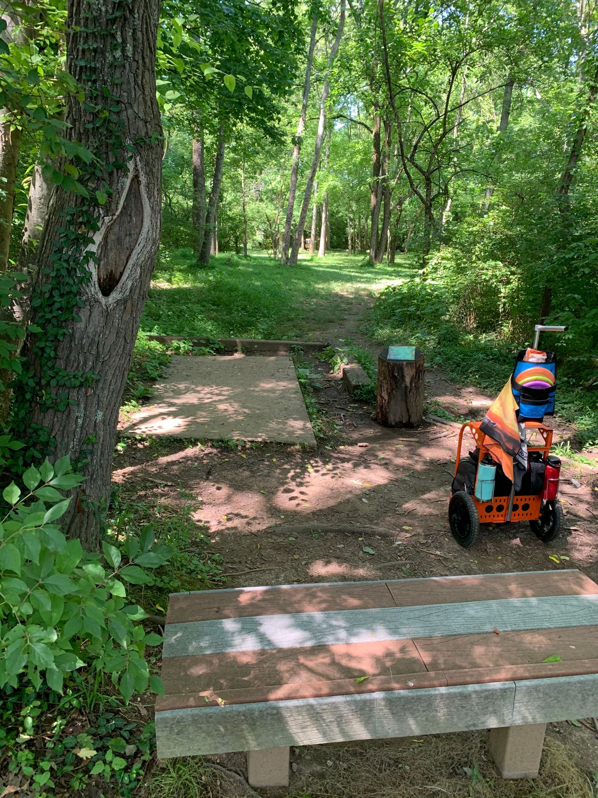 Hole 6