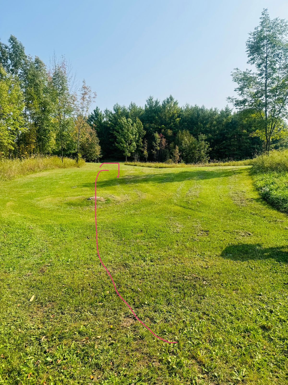 Hole 5 from the tee
