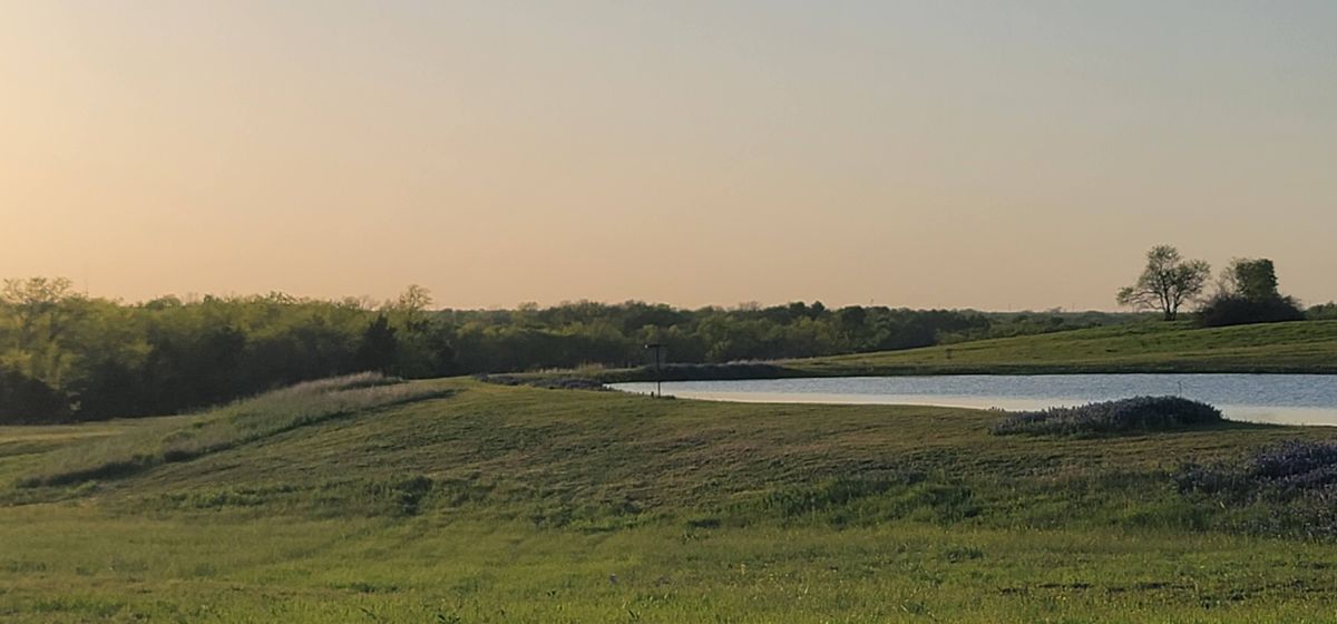 hole 12's basket from the fairway.  This basket is also used for holes 6 and 9.