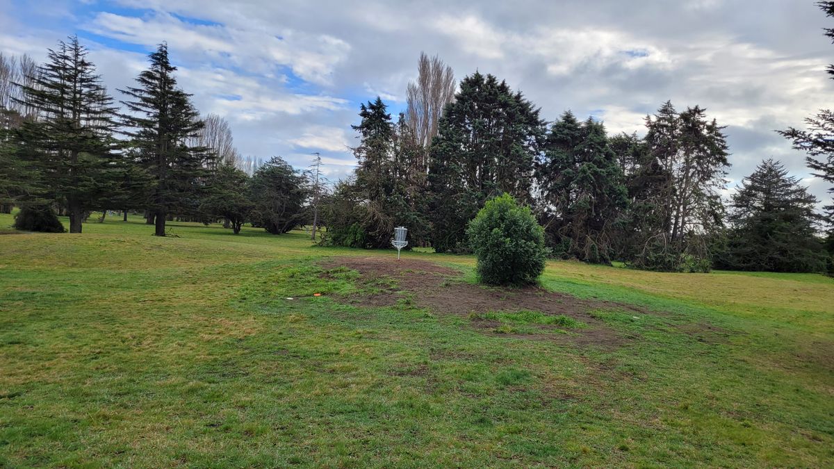 Hole 14 Basket
