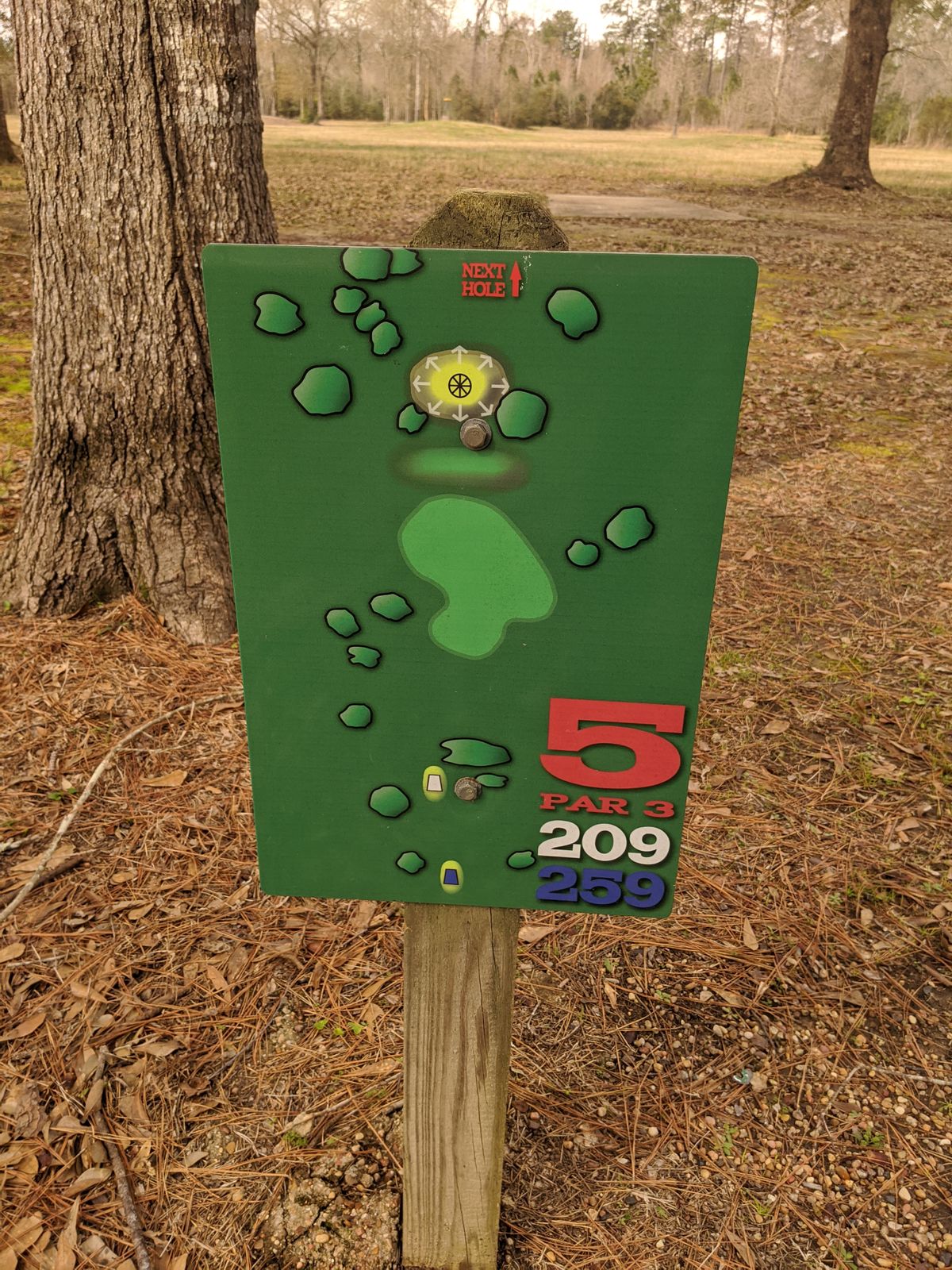 Hole 5