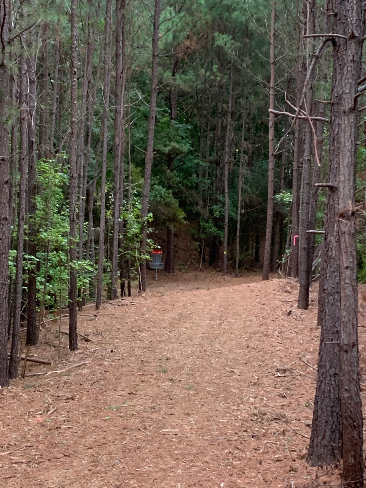 Hole 2
