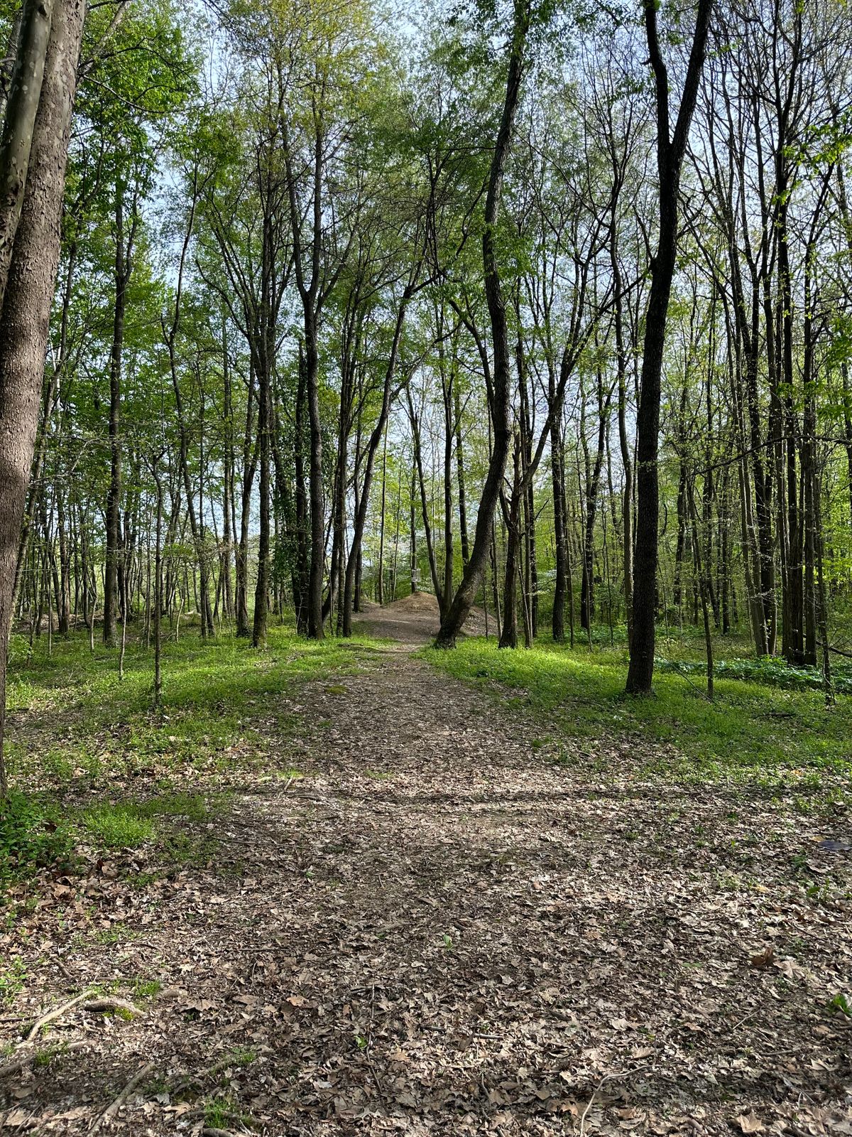 Hole 2 at the bend.