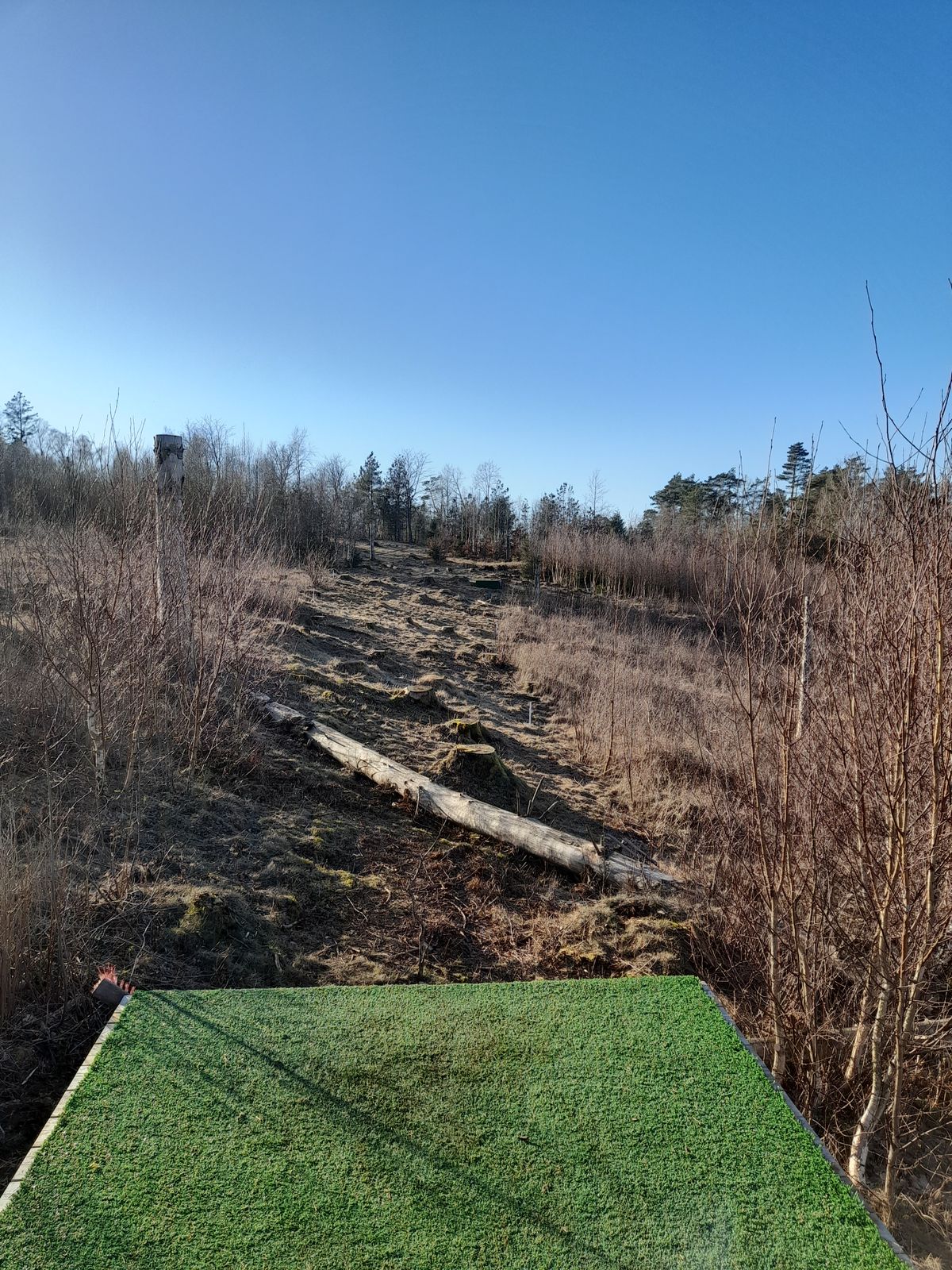 Hole 8
