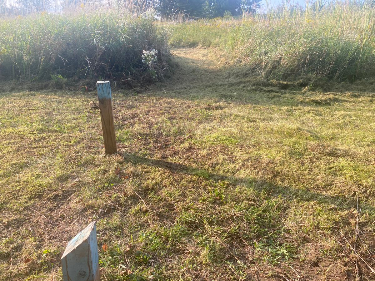 Mowed to a spot that you can see the basket. 