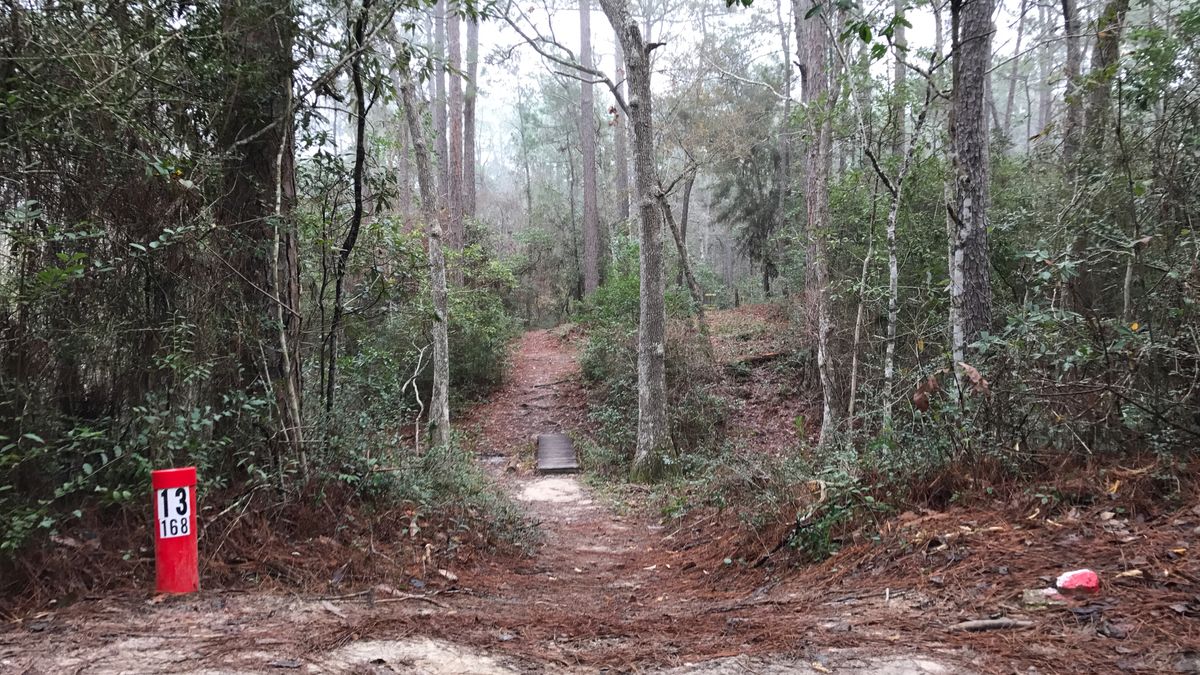 Hole 13