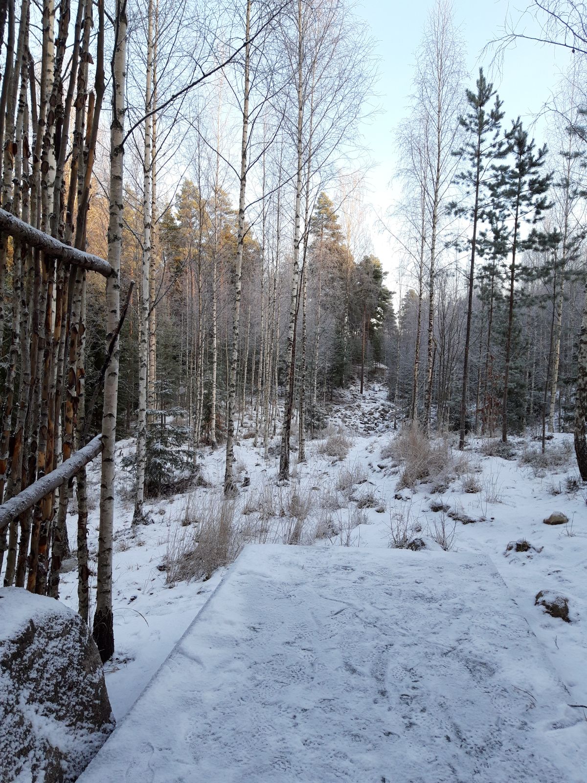 Väylä #10 114m