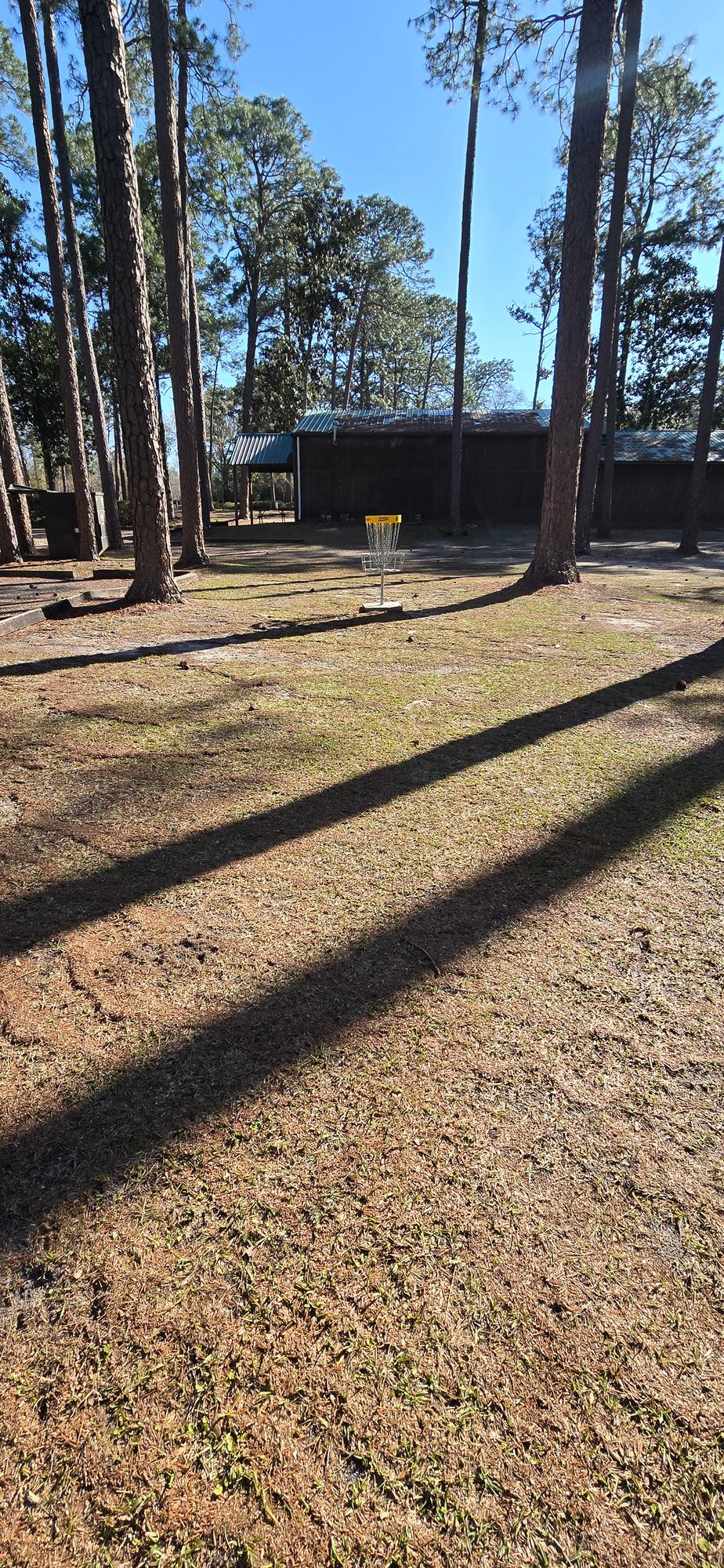 Hole 8 basket
