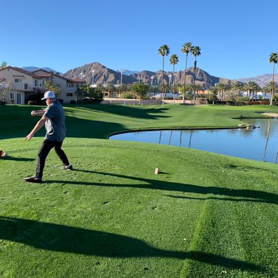 palm royale country club scorecard