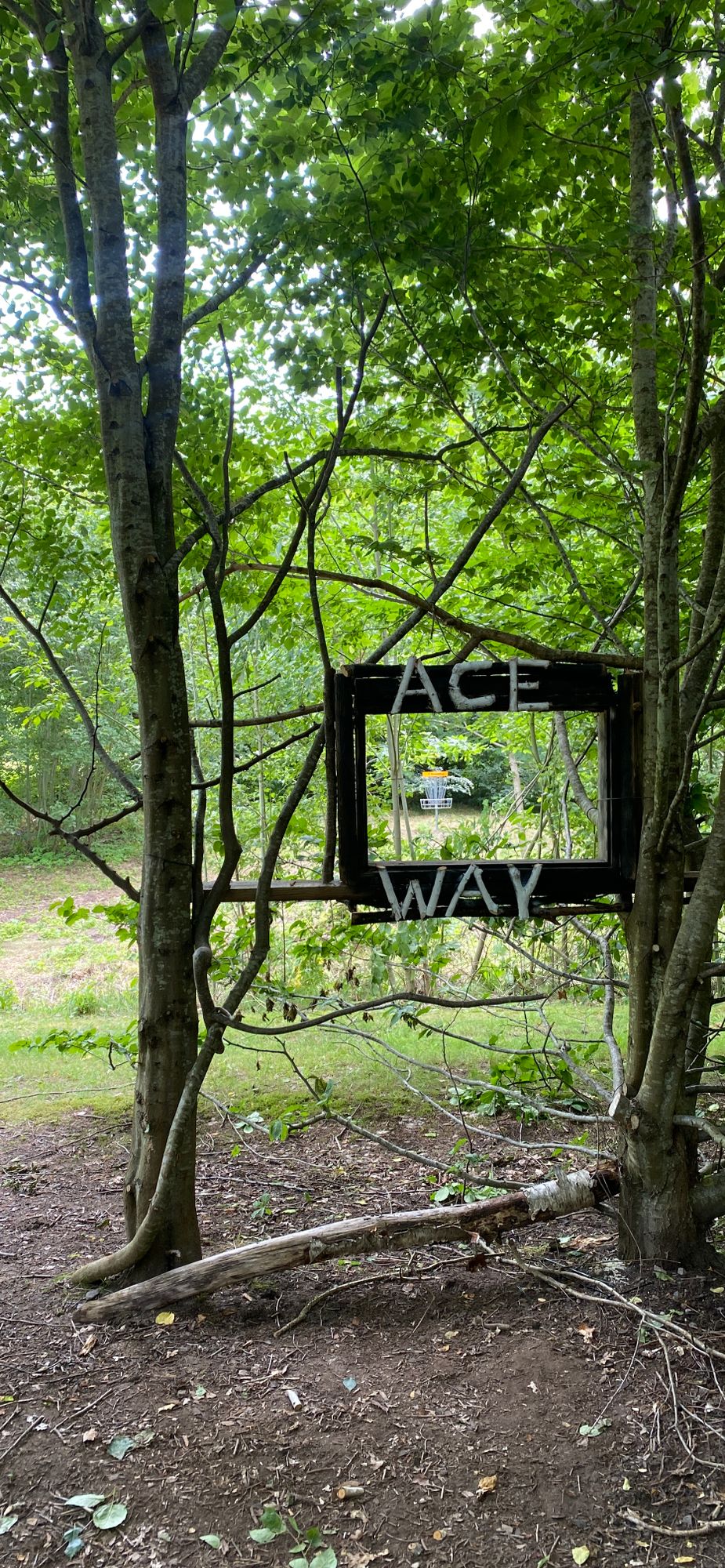 Hole 8, the teasing Ace Way!