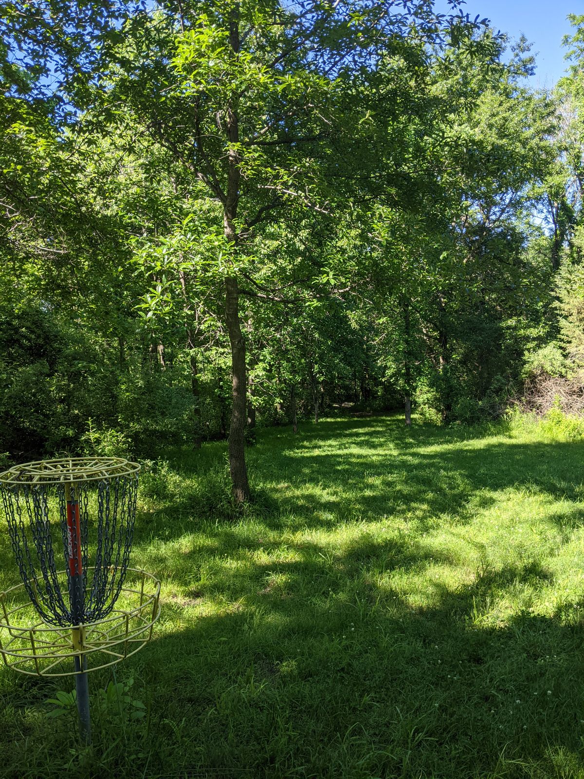 Basket 6 to tee view