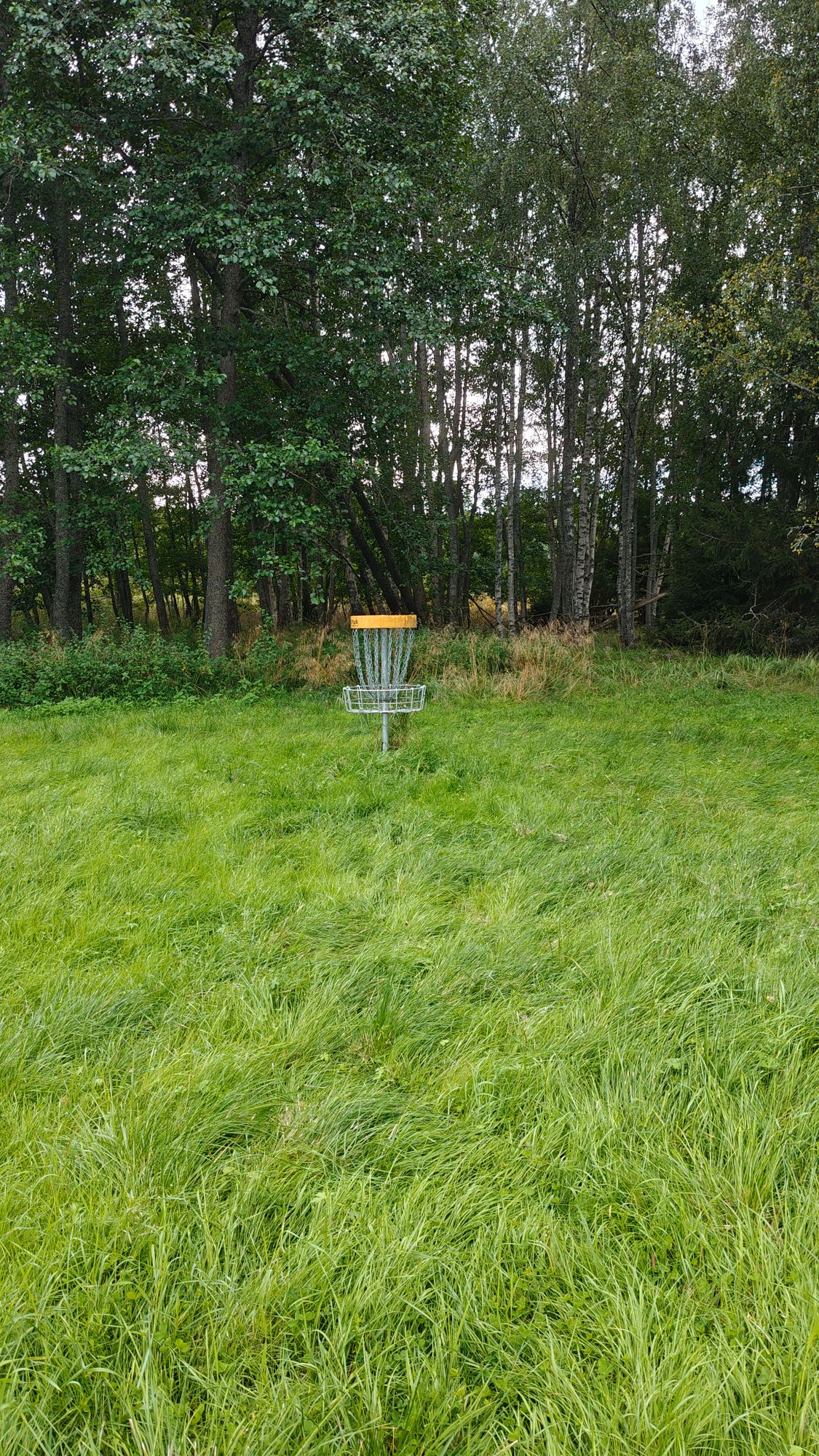 Hole 2