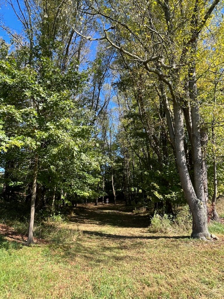 Hole 16 cont. Tunnel to basket