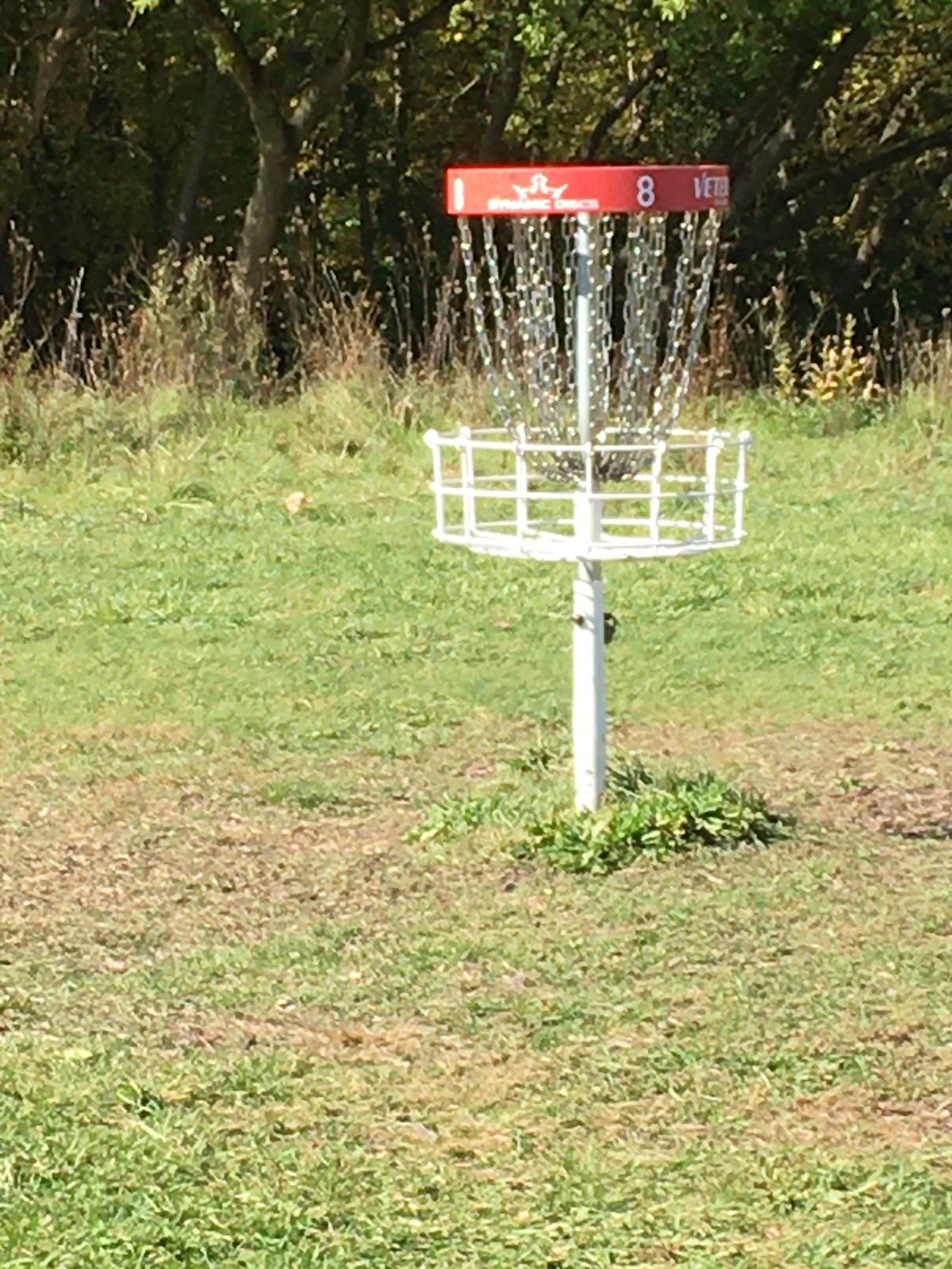Basket 8