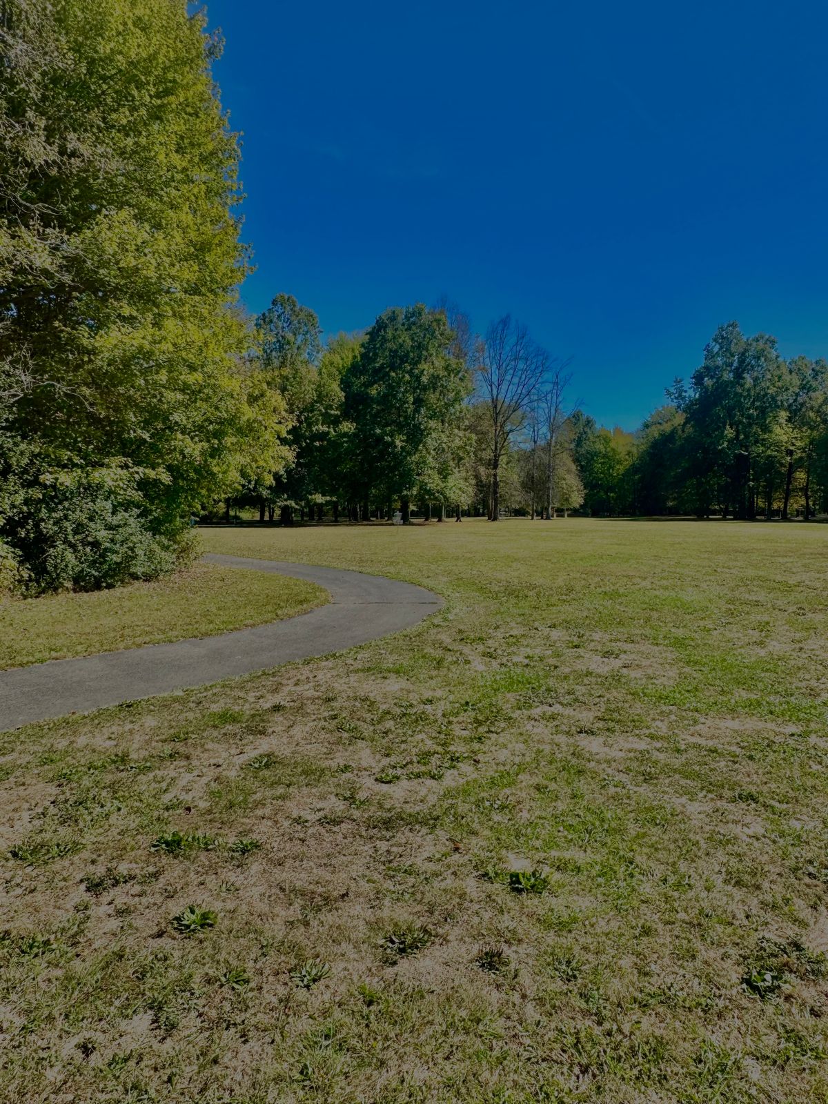 Hole 2 Basket