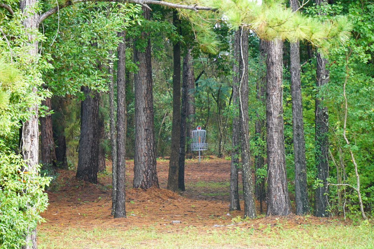 Hole 16’s “fairway”