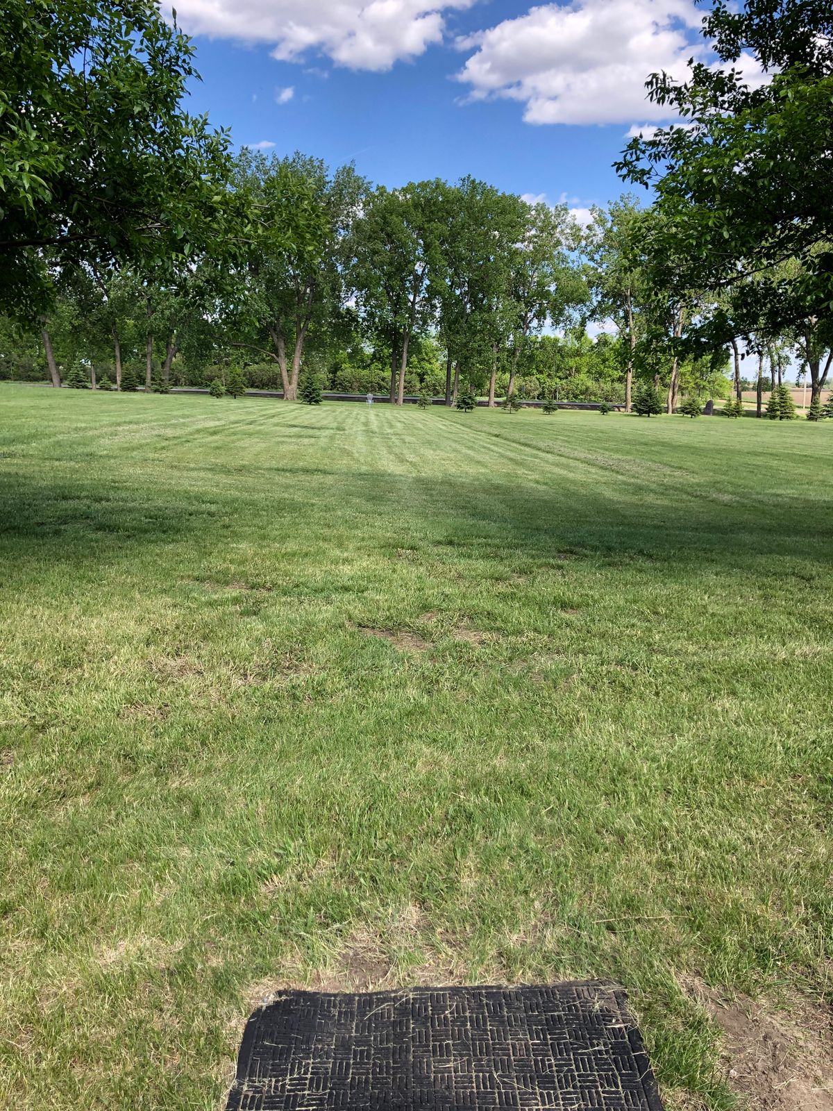 Hole 9 Tee