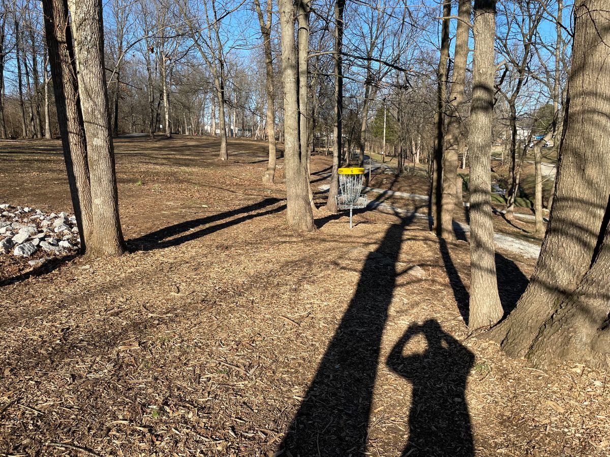Hole 5 fairway and basket