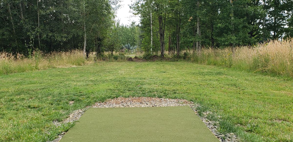 #3 A narrow gap and 390 ft par 3. Bring your A game to Birdie this one.