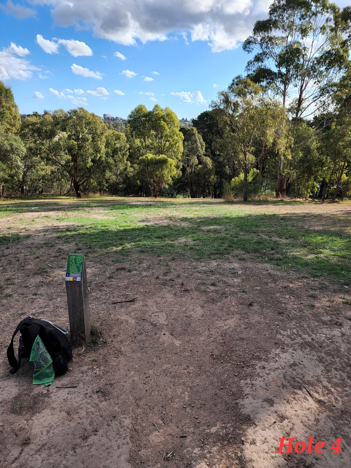 Steep downhill shot. Use a slow, straight flying disc and keep it low. Rollaways are the biggest concern so lay up if necessary.