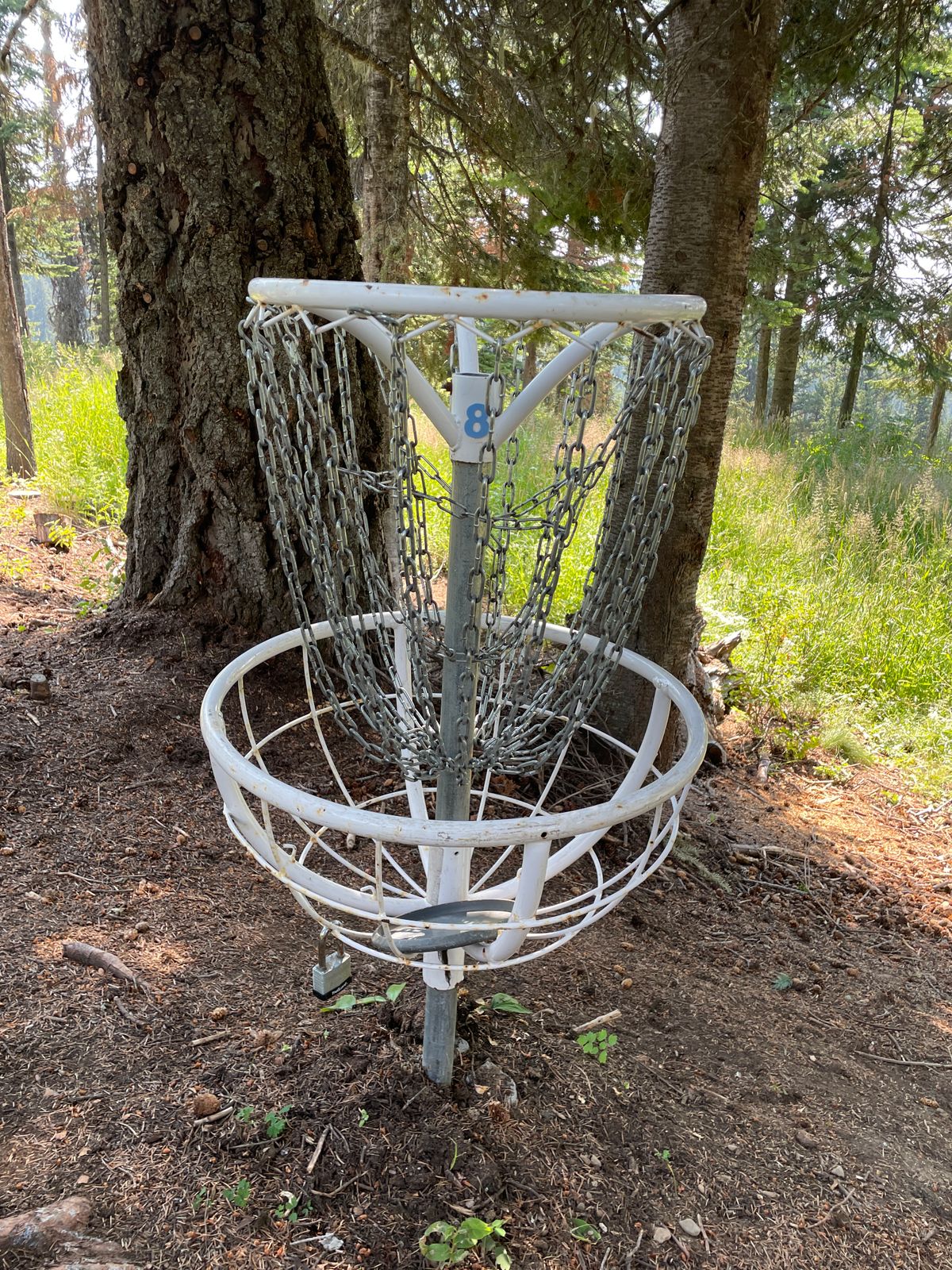 8th basket