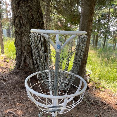 8th basket