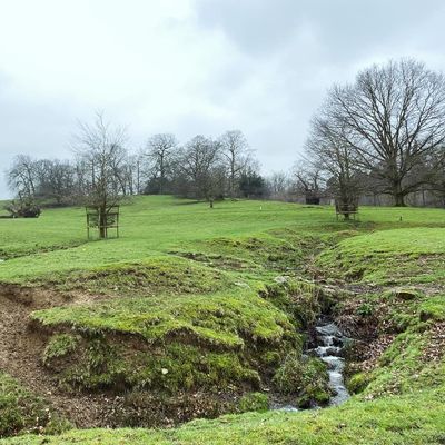 Hole 12 basket location (preinstall photo)