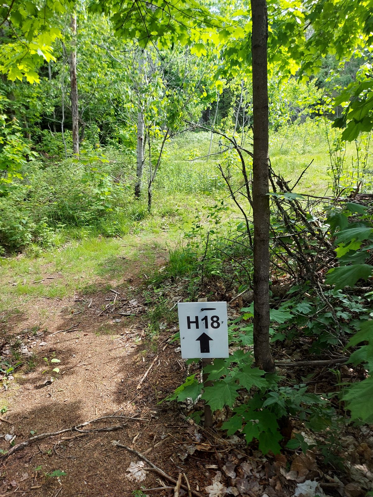 To hole 18.