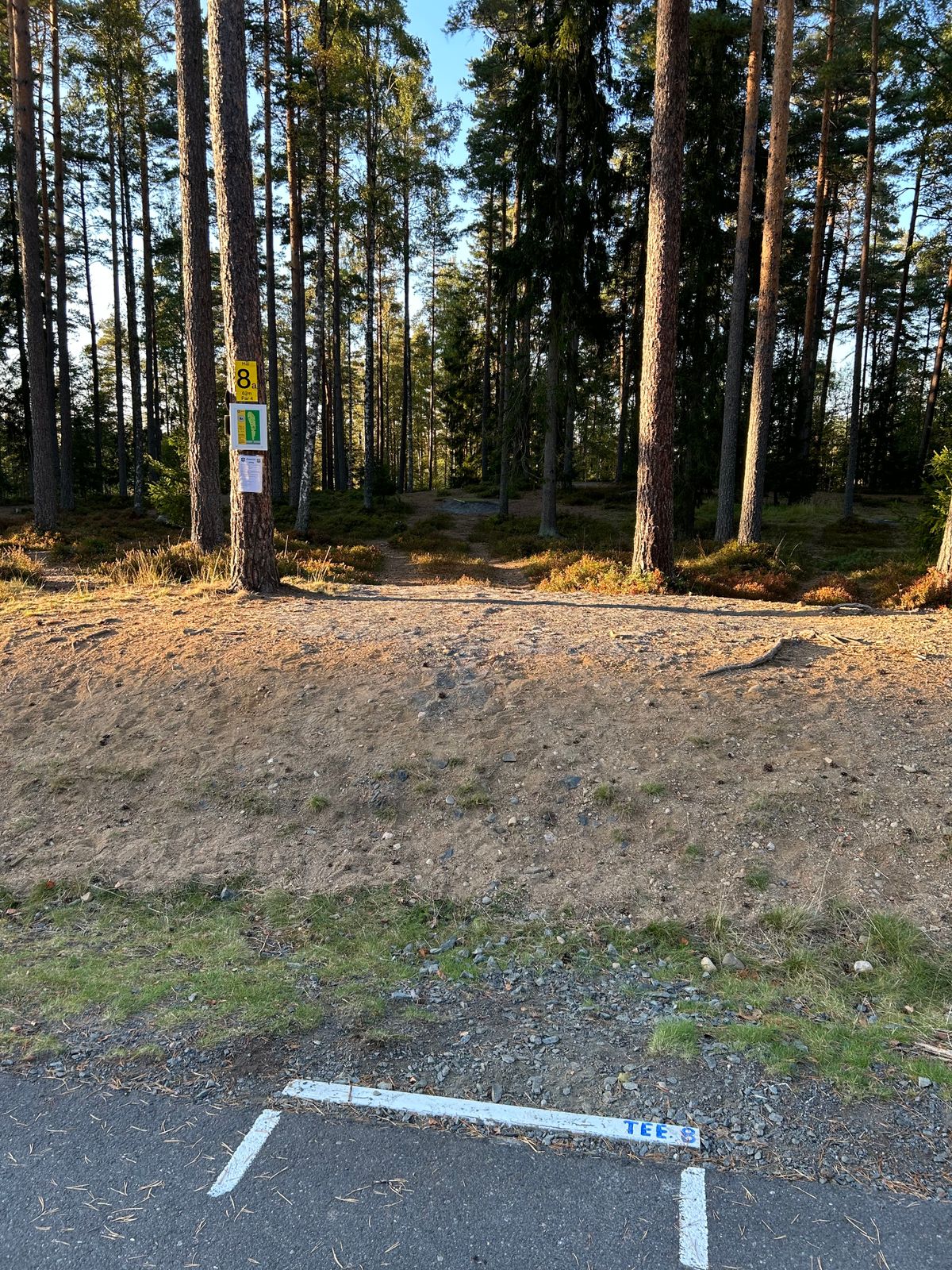 Tee 8A