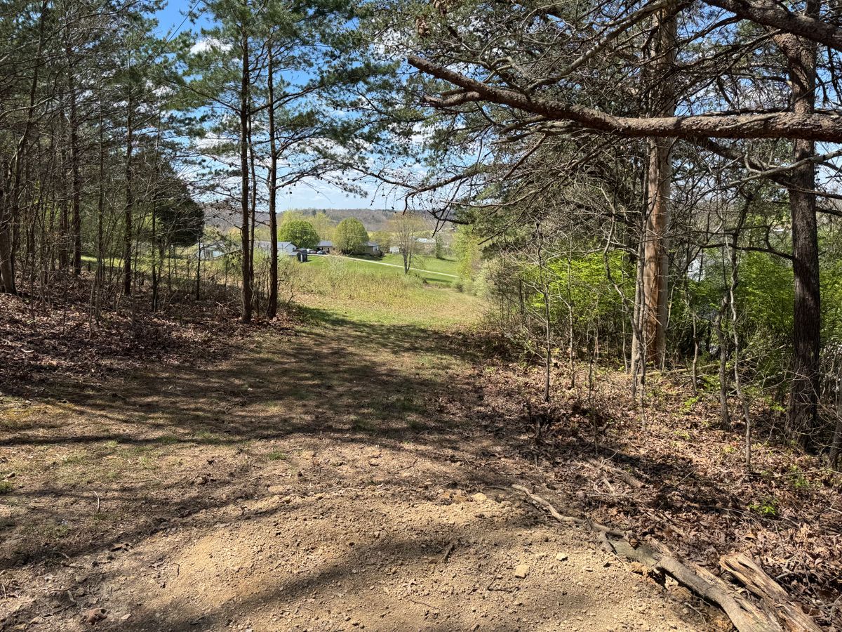 Hole 15 tee
