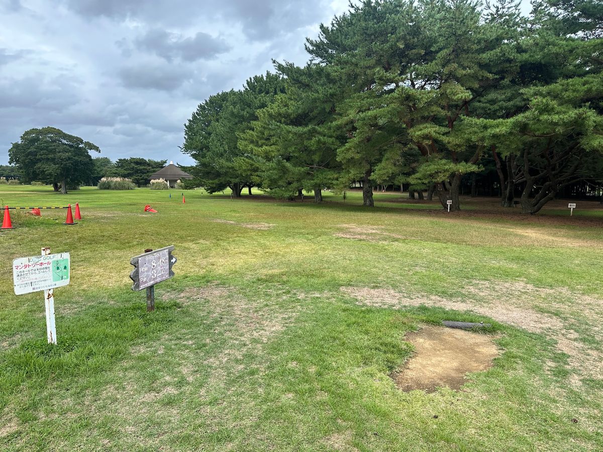 Hole 8
