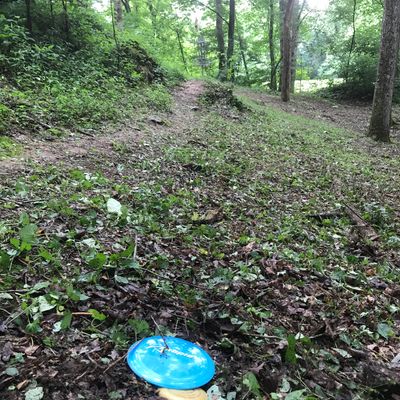 Hole 3 Basket