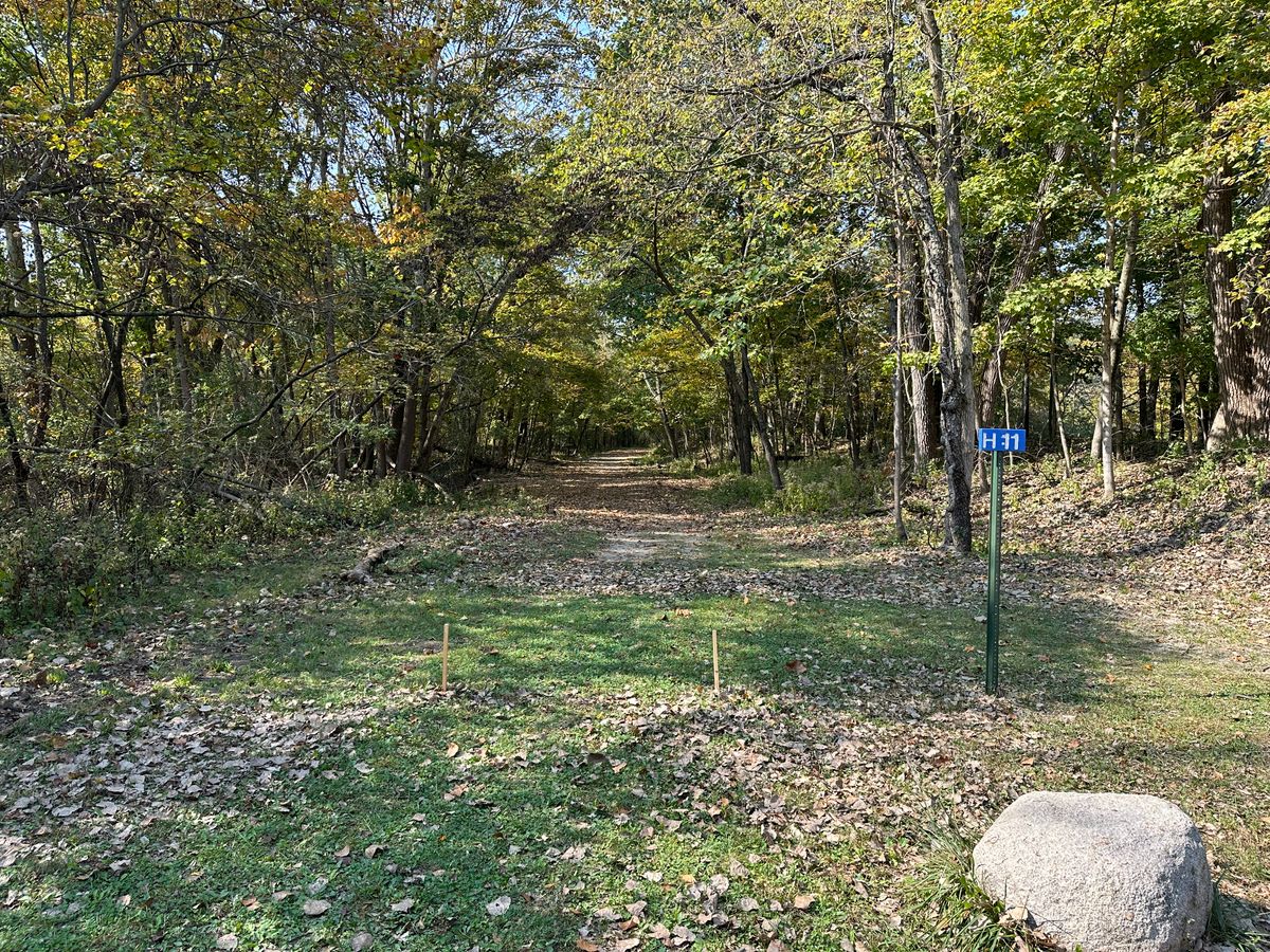 Hole 11 Tee