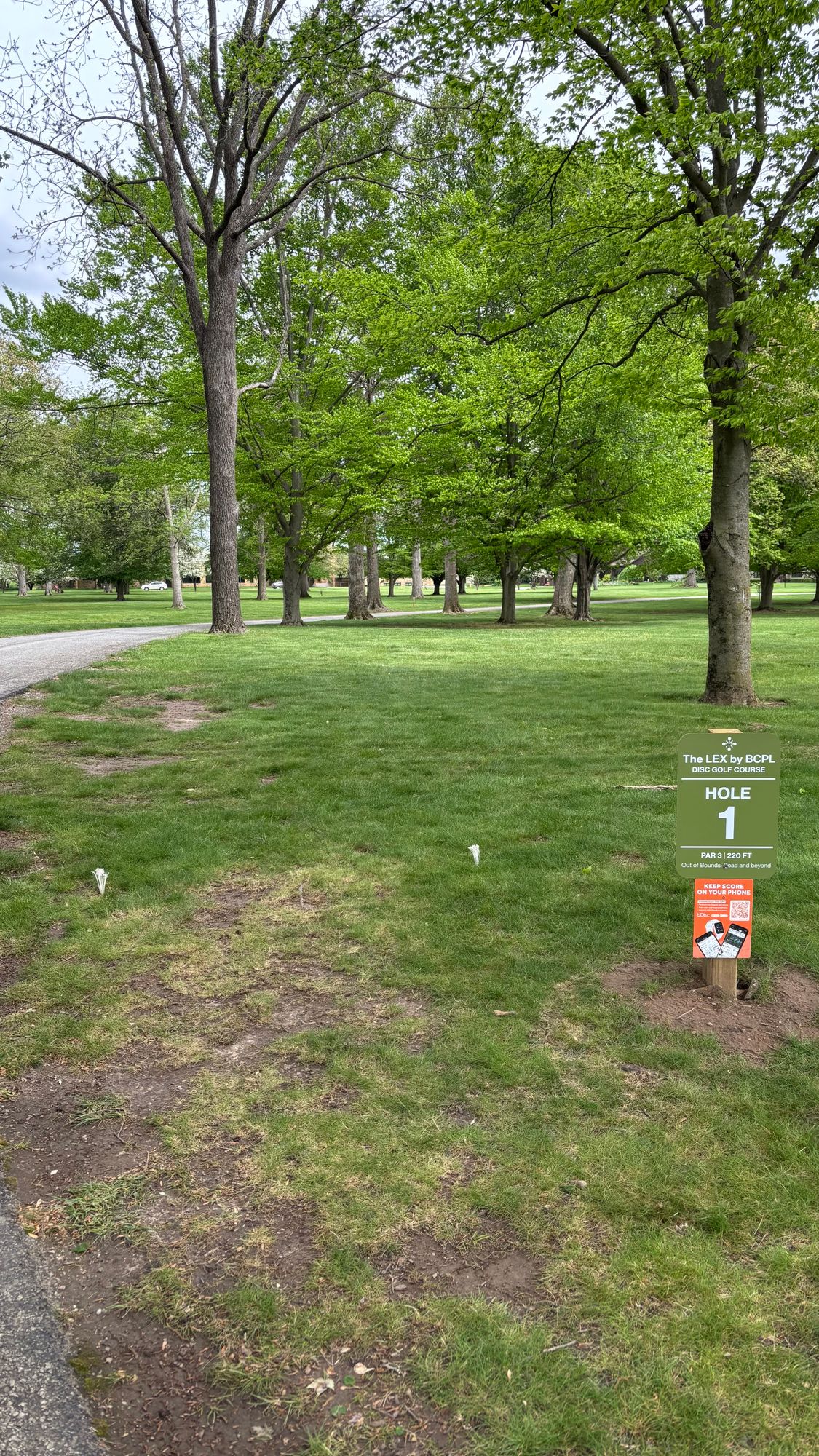 Hole 1 tee