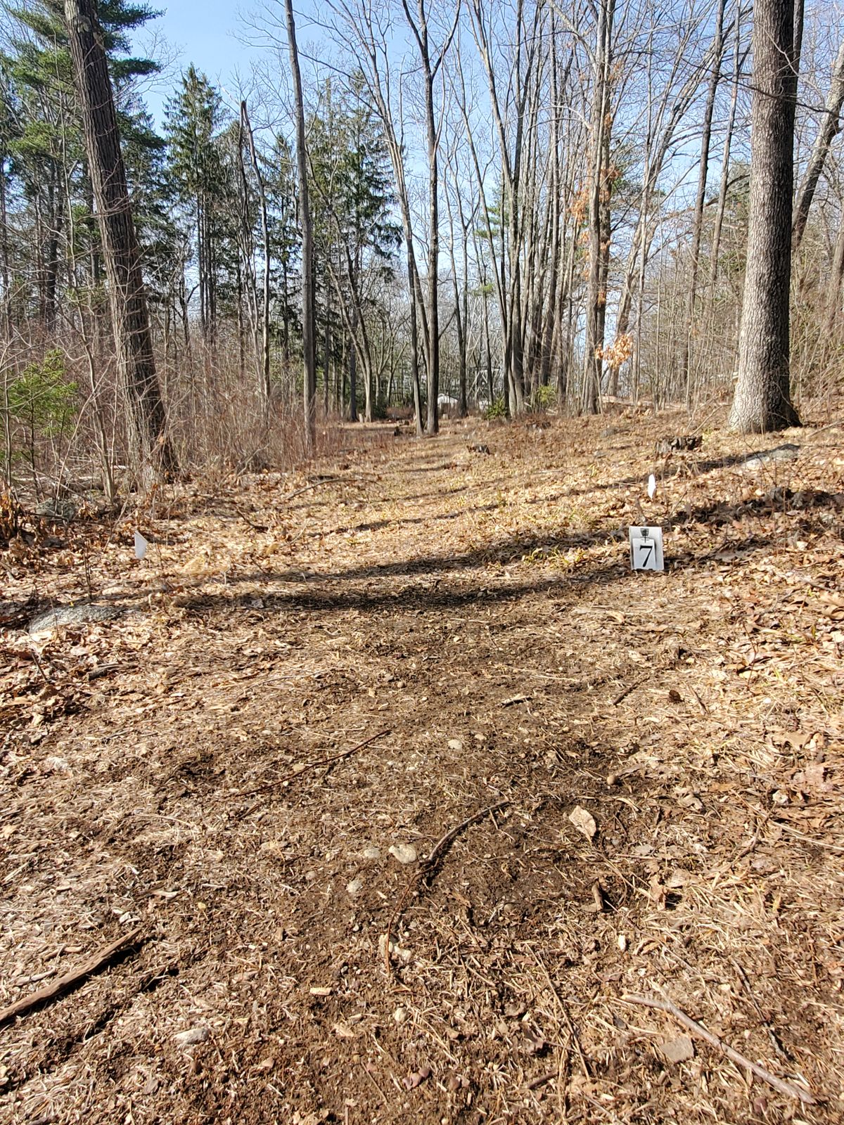 Hole 7 tee pad.
