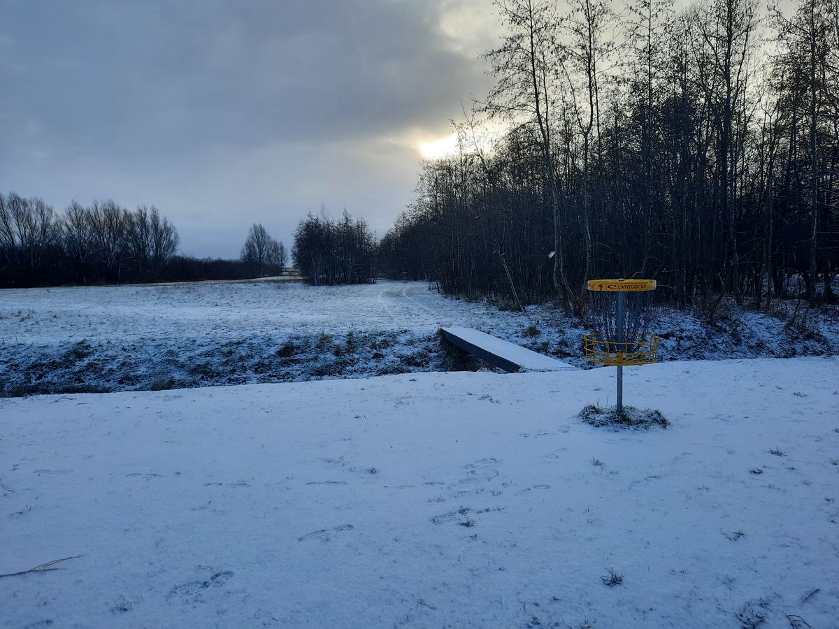 Hole 18's basket in snowy conditions