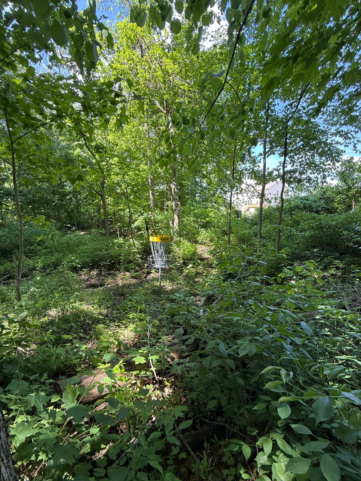 #2 Overgrown