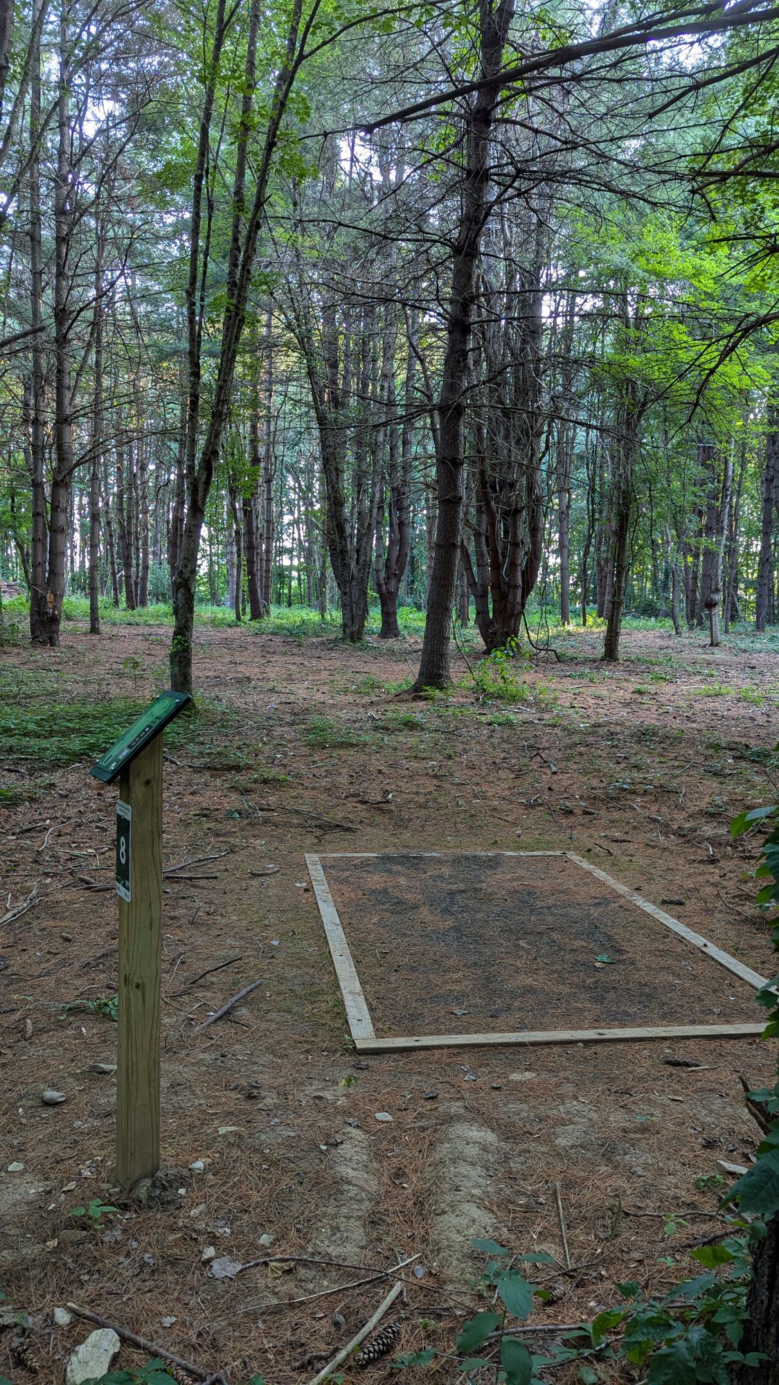 Hole 8 tee, 240' to pin