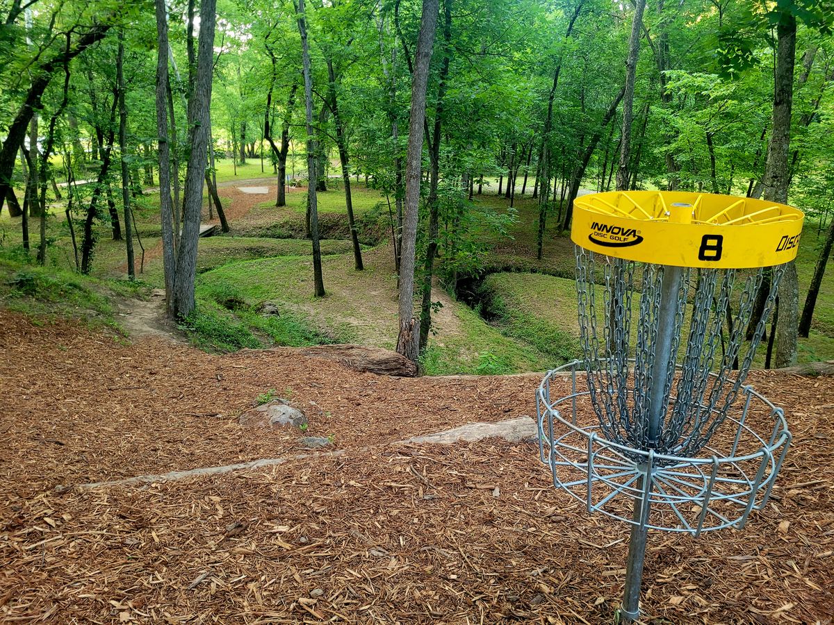 Hole 8 - Behind basket look back down to White/Blue tee