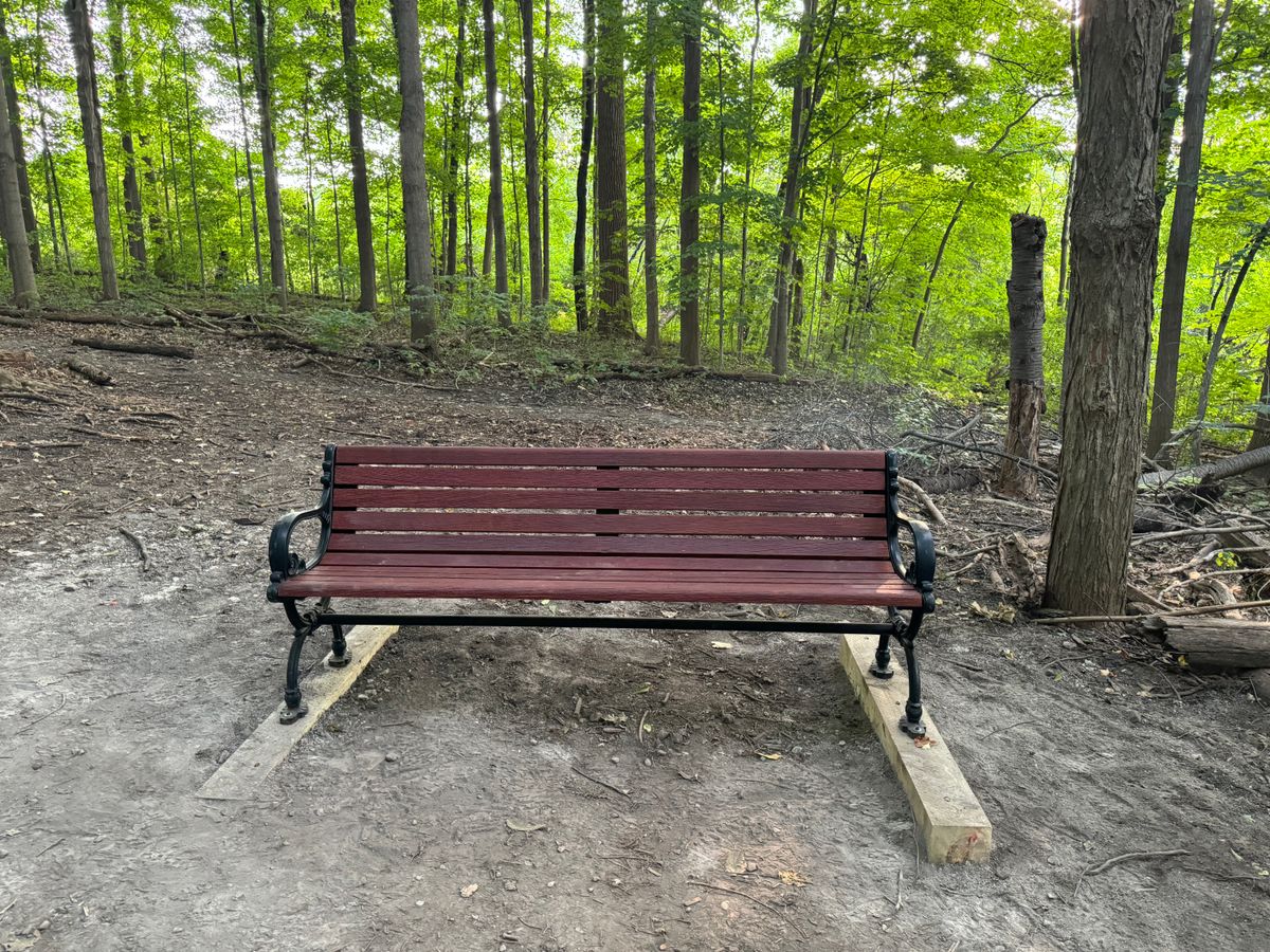 Hole 10 bench
