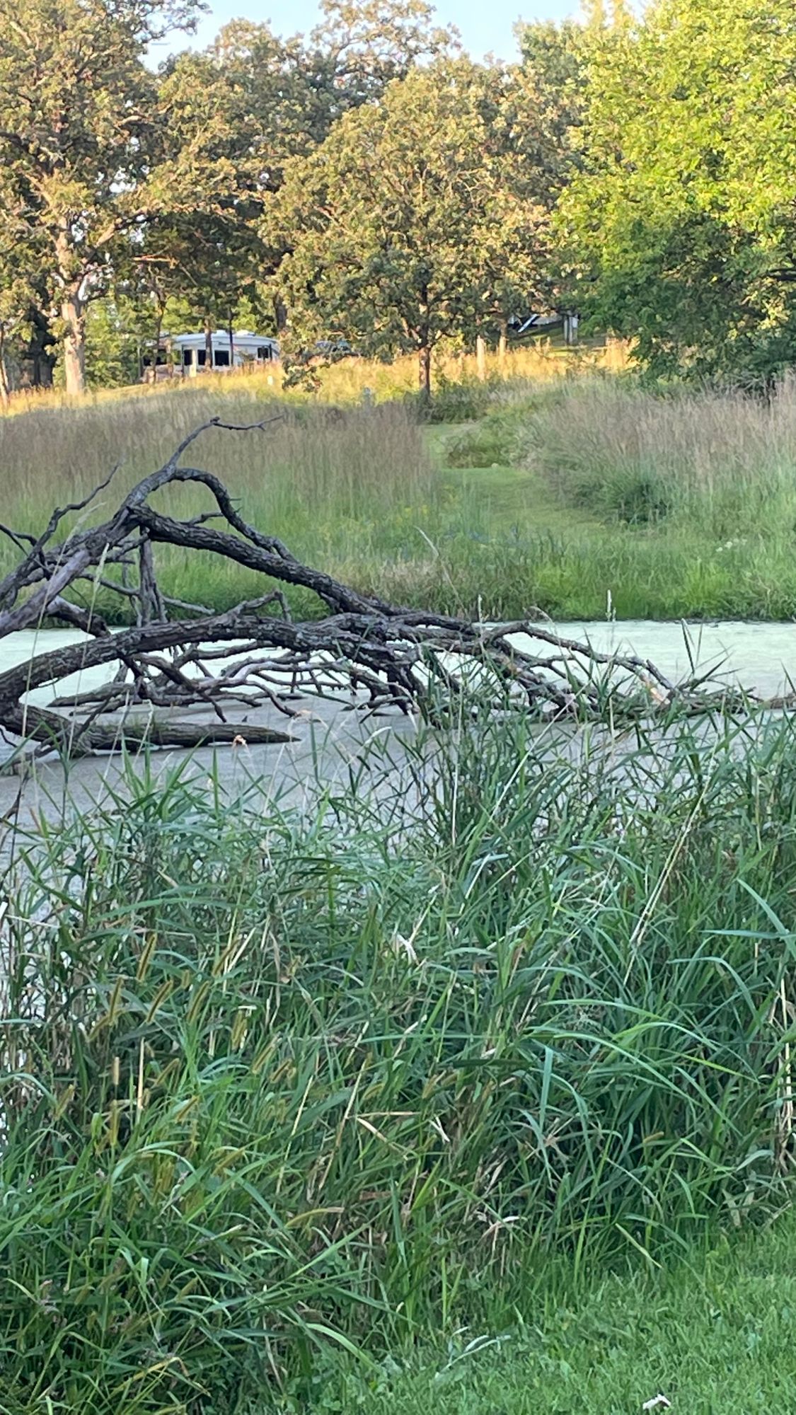 Hole 4 recommend a spotter or shorten the hole by throwing for the dike