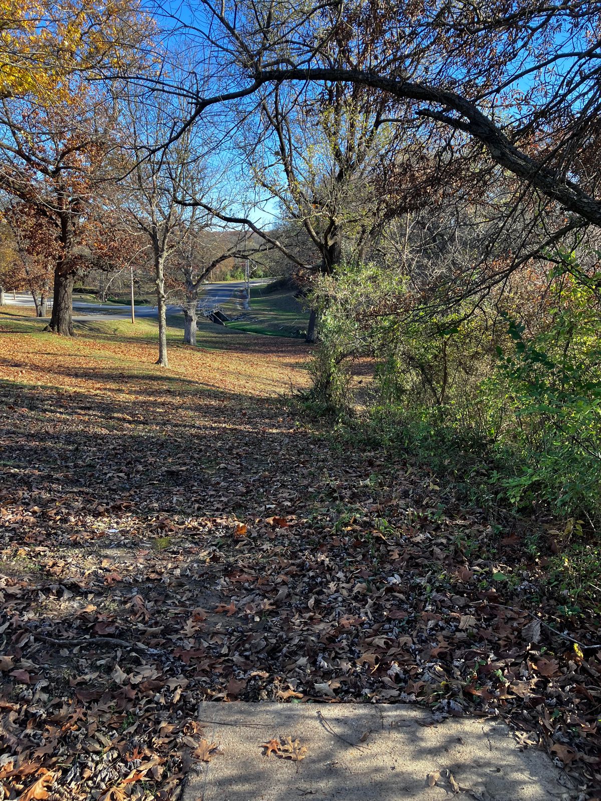 Hole 18 (Basket)